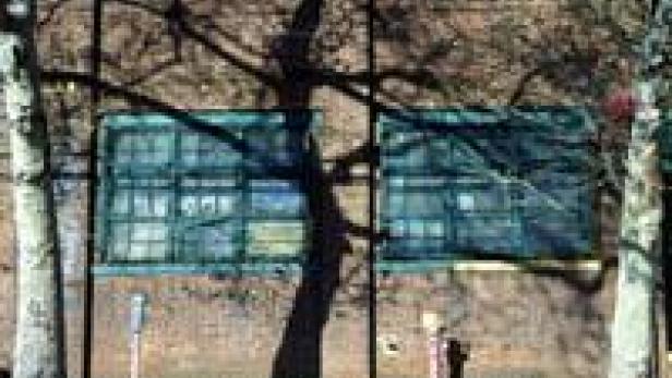 Ein Backsteingebäude mit zwei großen Fenstern, teilweise von einem Baum verdeckt.
