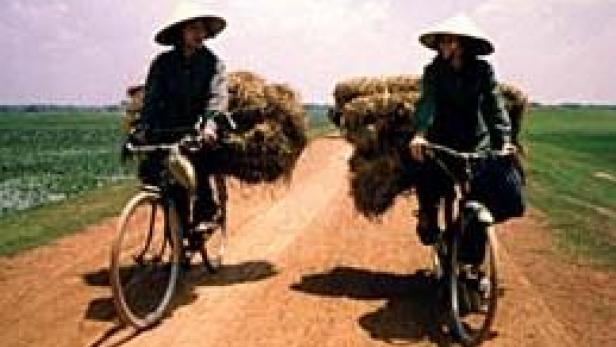 Zwei Frauen mit Kegelhüten fahren mit Fahrrädern und Heuballen auf einem Feldweg.