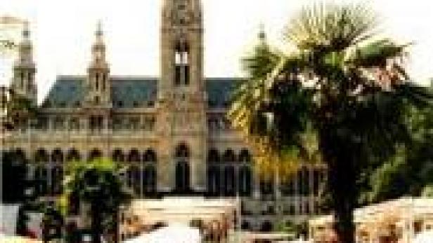 Das Wiener Rathaus mit einem Markt im Vordergrund, teilweise von einer Palme verdeckt.