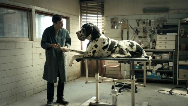 „Dogman“: Hundefriseur im Drogensumpf