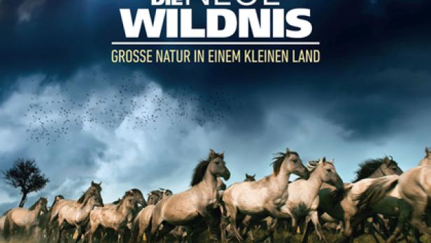 Die neue Wildnis - Große Natur in einem kleinen Land