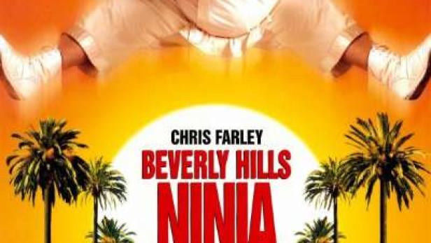 Beverly Hills Ninja - Die Kampfwurst