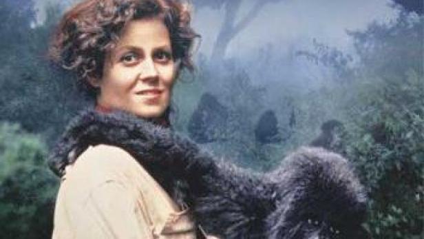 Gorillas im Nebel - Die Leidenschaft der Dian Fossey