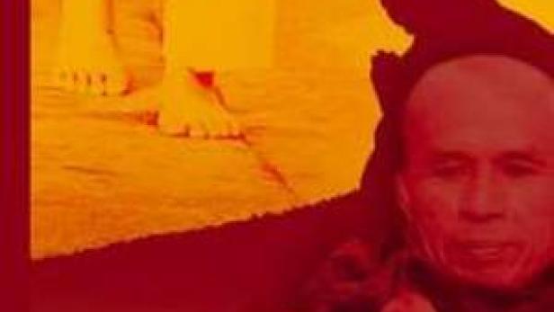 Das Cover des Films „Schritte der Achtsamkeit: Eine Reise mit Thich Nhat Hanh“.