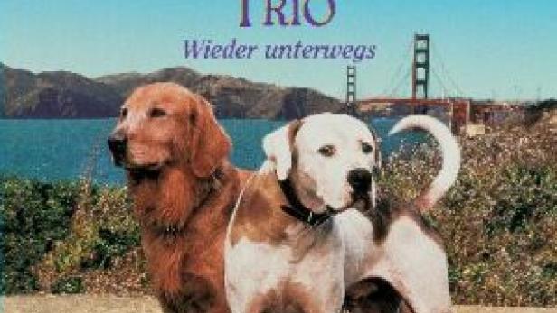 Ein tierisches Trio - Wieder unterwegs