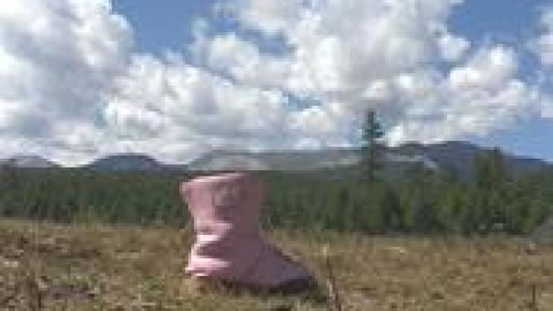 Ein einzelner rosa Stiefel steht auf einem Feld mit Bäumen und Bergen im Hintergrund.