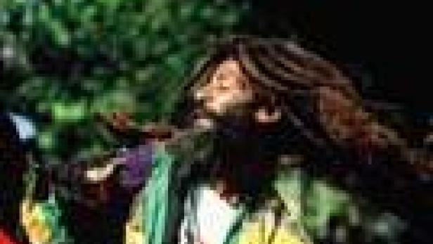 Ein Mann mit Dreadlocks schüttelt sein Haar.