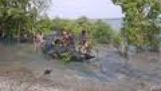 Eine Gruppe von Menschen sitzt in einem kleinen Boot auf dem Wasser, umgeben von Bäumen.