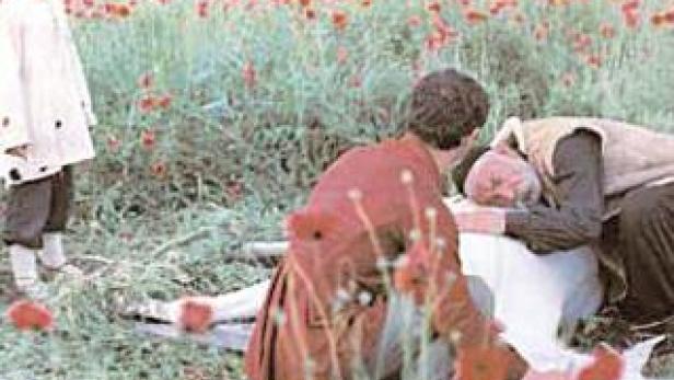 In einem Mohnfeld kümmern sich zwei Männer um eine bewusstlose Person, während ein Kind zusieht.