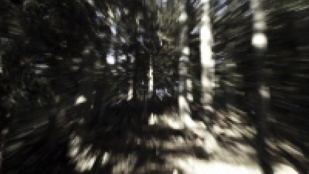 Ein verschwommener Blick durch einen dichten Wald.