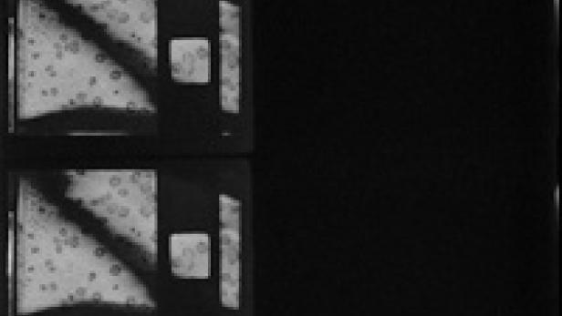 Eine Schwarz-Weiß-Aufnahme von zwei Monitoren, die ein wissenschaftliches Experiment zeigen.