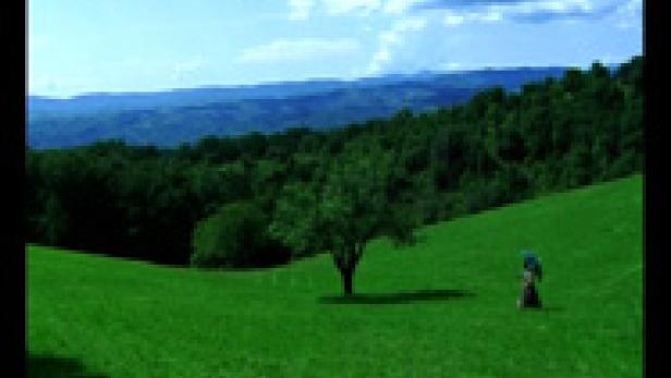 Eine Person steht auf einer grünen Wiese mit einem Baum und einem bewaldeten Hügel im Hintergrund.