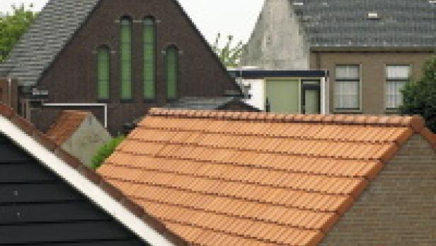 Mehrere Dächer verschiedener Häuser in einer Wohngegend.