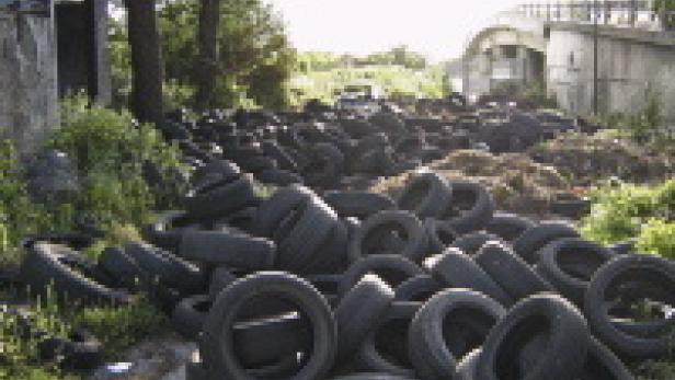 Ein Haufen alter Autoreifen liegt in der Natur.