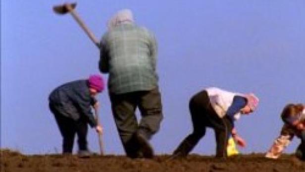 Mehrere Personen arbeiten auf einem Feld mit bloßer Erde.