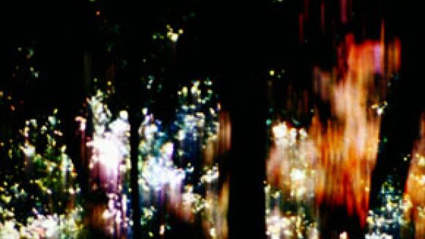 Abstrakte Darstellung von Bäumen und Lichtreflexionen in einem Wald.