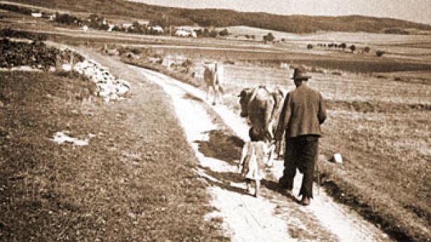 Das vergessene Grenzgebiet