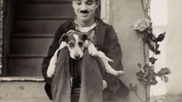 Charles Chaplin: Ein Hundeleben