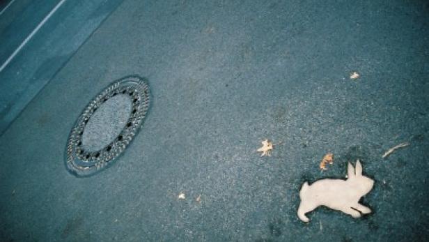 Ein Kanaldeckel und ein Schablonen-Hase liegen auf einer dunklen Asphaltfläche.