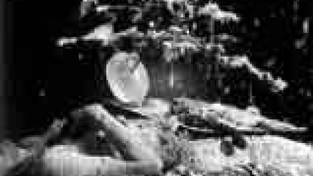 Eine Frau liegt unter einem Baum, während Blätter auf sie herabfallen.