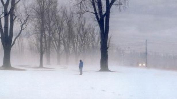 Eine Person steht in einer verschneiten Landschaft mit Bäumen und Nebel.