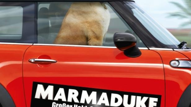 Marmaduke