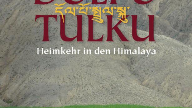 Das Filmplakat für „Dolpo Tulku: Heimkehr in den Himalaya“ zeigt eine Gruppe Mönche in einem grünen Feld vor einer Bergkulisse.