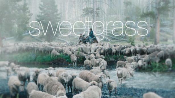 Sweetgrass