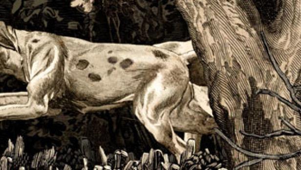 Eine Gruppe Dalmatiner läuft durch einen dunklen Wald.