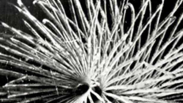 Eine Schwarz-Weiß-Aufnahme von strahlenförmigen, hellen Linien auf dunklem Hintergrund.