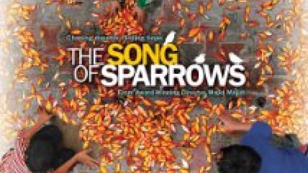 The Song of Sparrows