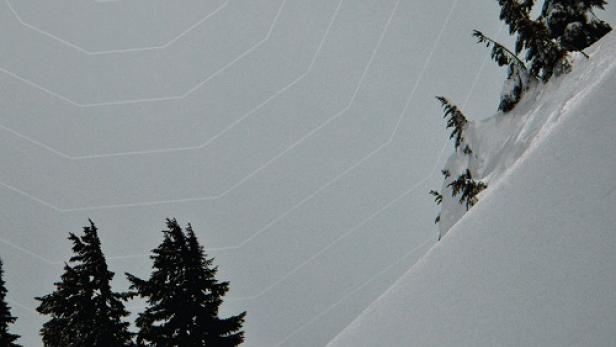 Ein Snowboarder springt vor einer verschneiten Landschaft mit dem Schriftzug „twelve“.