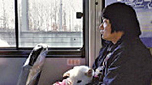 Eine Person sitzt mit einem kleinen, hellen Hund in einem Bus und schaut aus dem Fenster.