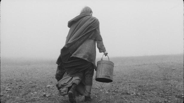 The Turin Horse