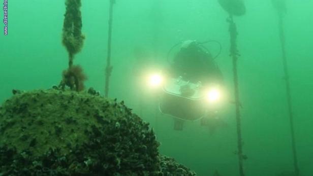 Ein Taucher mit Scheinwerfern erkundet eine Unterwasserlandschaft.