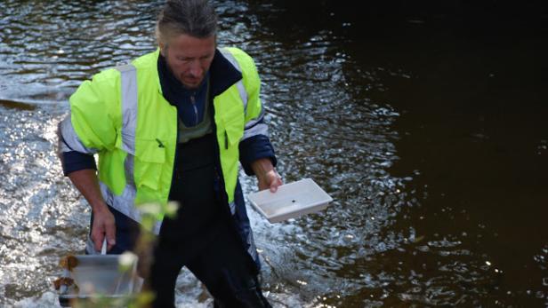 Ein Mann in Watstiefeln und Warnweste steht in einem Fluss und hält zwei Behälter.