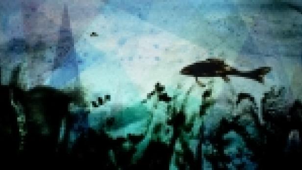 Ein stilisierte Darstellung von Fischen in einem Gewässer.