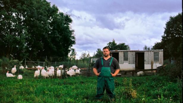 Ein Landwirt steht vor einer Gruppe von Truthähnen auf einer grünen Wiese.