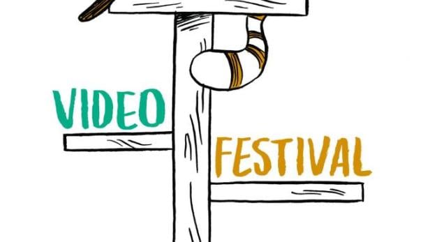 Cat Video Festival