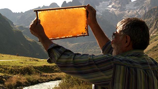 Ein Imker hält eine Honigwabe vor einer Berglandschaft in die Höhe.