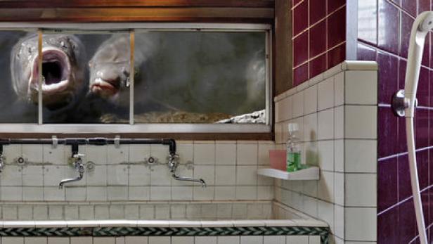 Zwei Fische schauen durch ein Fenster in ein gefliestes Badezimmer.