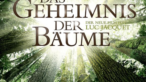 Das Geheimnis der Bäume