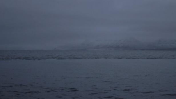 Eine düstere Landschaft mit Meer und Bergen im Hintergrund.