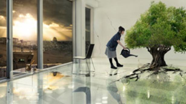 Eine Frau gießt einen Baum, der in einem hellen Raum mit großem Fenster wächst.