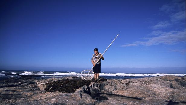 Eine Frau steht mit einem Kescher auf einem felsigen Küstenabschnitt.