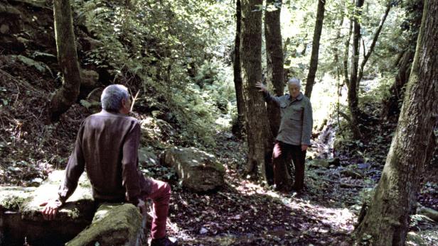 Zwei Männer ruhen sich in einem Waldgebiet aus.
