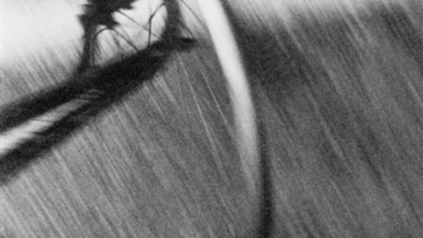 Abstrakte Schwarz-Weiß-Darstellung einer verschwommenen Landschaft mit Baum im Vordergrund.