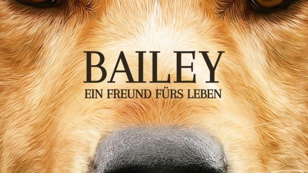 Bailey - Ein Freund fürs Leben