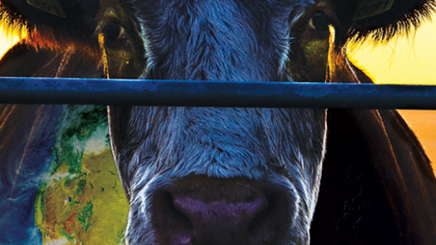 Cowspiracy - Das Geheimnis der Nachhaltigkeit