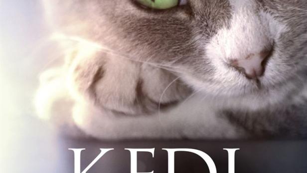 Kedi - Von Katzen und Menschen